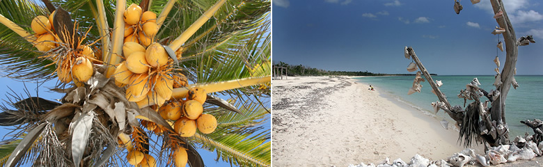 Playa del Carmen Vacation Rentals