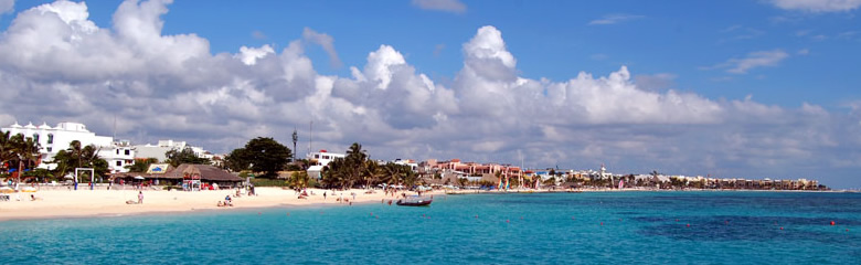 Real Estate and Vacation Rentals