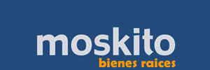 Moskito Playa del Carmen Vacation Rentals & Real Estate