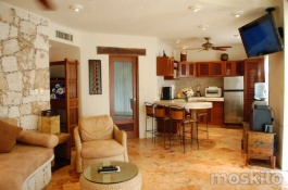 Penthouse Sacbe : Blue Sky, Playa del Carmen rentals