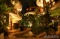 Penthouse Sacbe : Blue Sky - Image 1