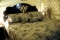 Condo Amalfi - Image 4