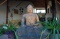 Aldea Thai Penthouse KOOL - Image 14