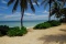 Almaviva - Image 12