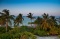 Almaviva - Image 16