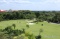 Nick Price - Albatross - Image 11
